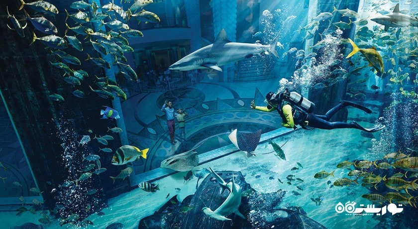 غواصی در پارک آبی هتل